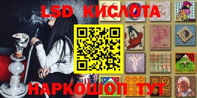 дживик Можга